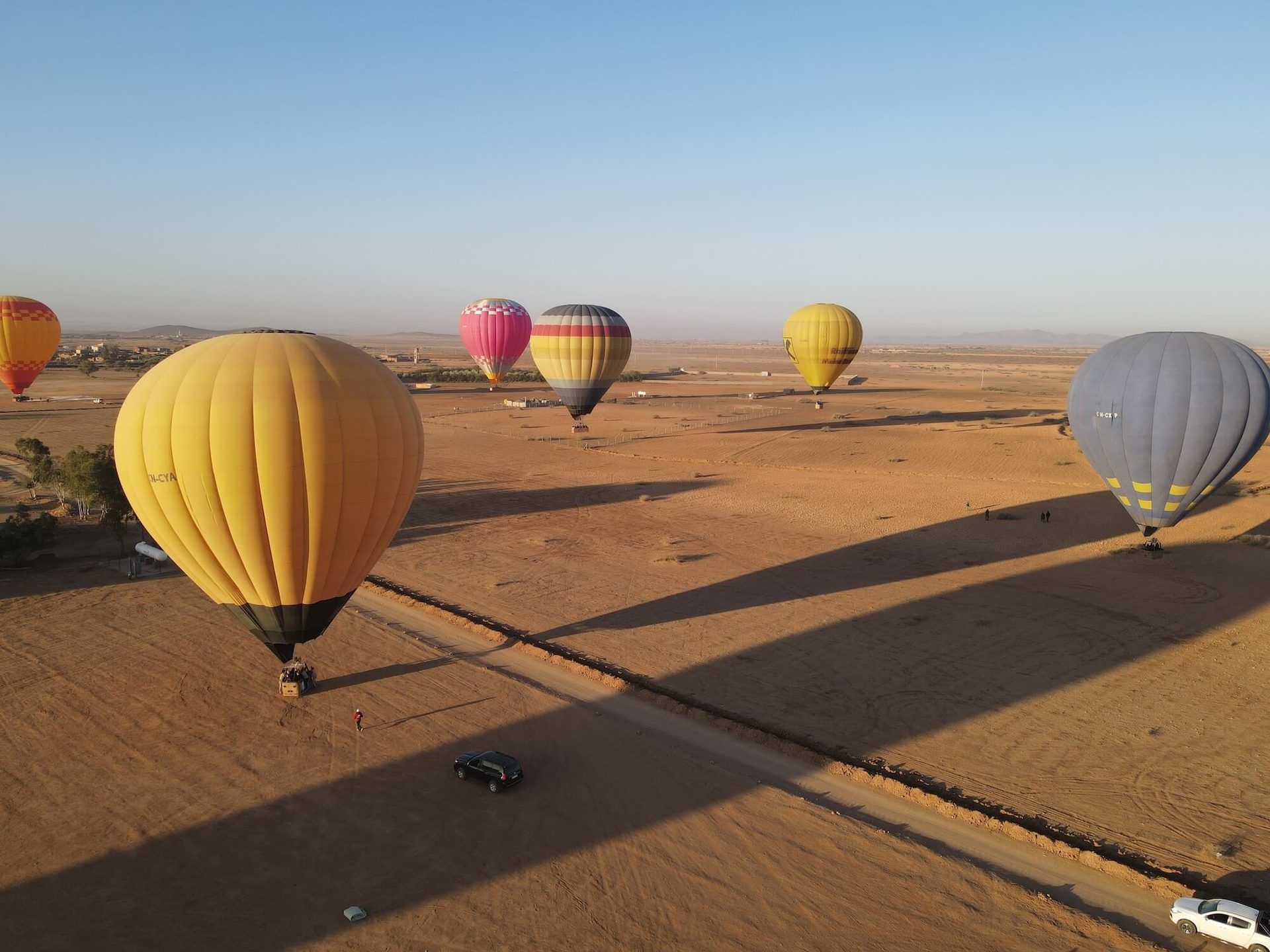 Several hot air balloons drifting above fields and palm groves, seen from another basket